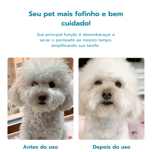 Secador Pet Multifuncional 2 Em 1 - Pro