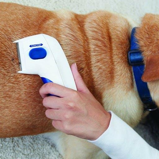 Pente Elétrico Antipulgas para Pets - Removedor de Pulgas, Carrapatos e Piolhos